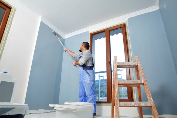 Best Touch-Up Painting  in Norridge, IL