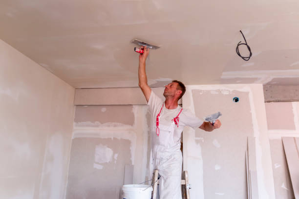 Best Acoustic or Soundproof Drywall Installation  in Norridge, IL